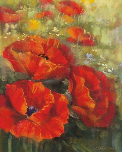 W7863 - Carol Rowan - Red Poppie Crop