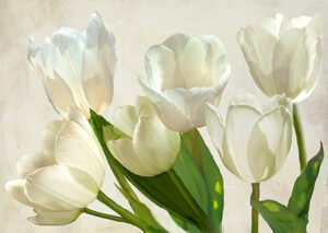 3LC5328 | Luca Villa | White Tulips