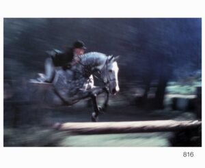 LI0816 | Katey Barrett | Equestrian