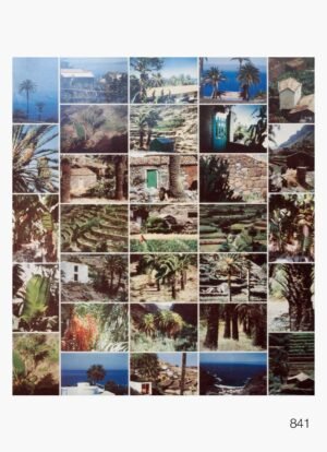 LI0841 | Gusta Brauer | La Gomera