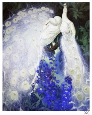 LI920 | Arms Botke | Pavos Reales