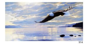 LI914 | Ron Parker | Dawn Flight | a/B02