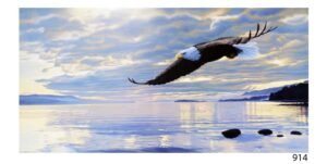 LI914 | Ron Parker | Dawn Flight | a/B02