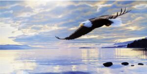 Ron Parker | LI914 | Dawn Flight