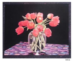 LI1413 | Sin Autor | Dramatic Tulips | b/D01