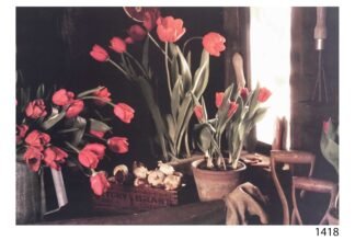 LI1418 | Kathryn Kleinman | Styling | b/D01