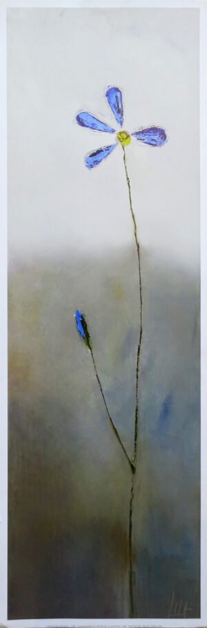 LI2001 | Dragan Senaric Shex  | Blue Swirls | b/D01