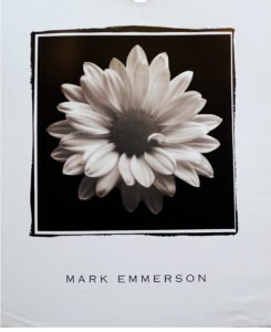 J. A. Mark Emmerson | LI2006 | Mary Ann (Daisy)