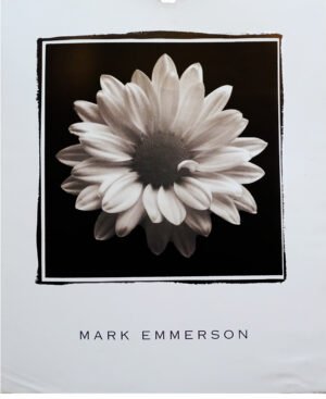 LI2006 | J. A. Mark Emmerson | Mary Ann (Daisy) | b/D01