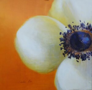 LI2008 |  Danhui Nai | Contemporary Poppy | b/D01