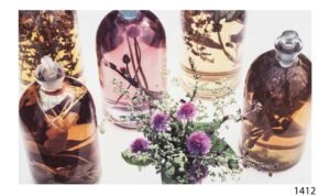 M. God | LI1412 | Sin Título | b/D01