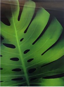 Rosemarie Stanford | LI2018 | Big Boy