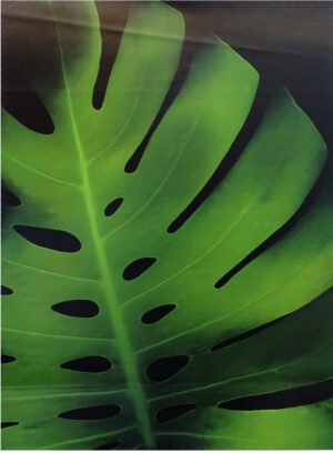 LI2018 | Rosemarie Stanford | Big Boy | b/D01