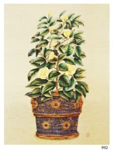 Ida | LI0992 | Rosas Amarillas | b/D01