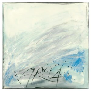 H. Romero | 1HR6950 | Aria