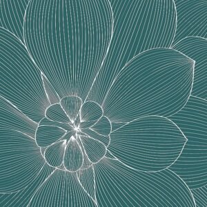 GraphINC | IN38003-4 | Myrrhis odorata II