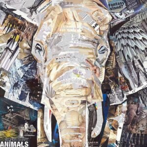 James Grey | INJG118 | Elephants Gaze