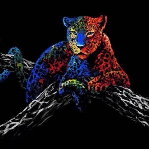 Clara Summer | INSUM111 | The Cheetah