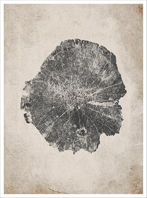Imagen de diseño / Botánicas | MA040 | Tree Rings I