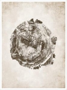 Imagen de diseño / Botánicas | MA041 | Tree Rings II