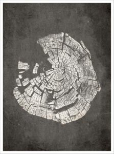 Imagen de diseño / Botánicas | MA042 | Tree Rings III