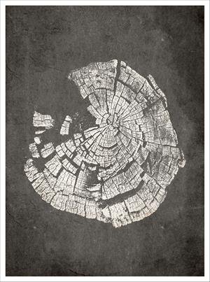 Imagen de diseño / Botánicas | MA042 | Tree Rings III