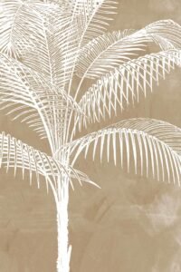Imagen de diseño / Botánicas | MAG007 | Palm tree I