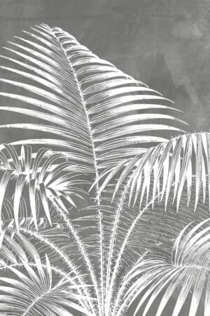 Imagen de diseño / Botánicas | MAG008 | Palm tree II
