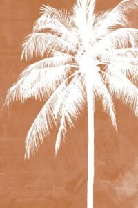 Imagen de diseño / Botánicas | MAG009 | Palm tree III