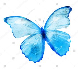 Suns07butterfly | SH400983535 | Watercolour Butterfly 3