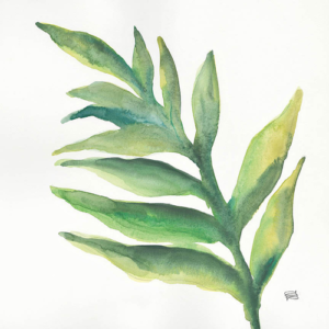 Chris Paschke | W22673 | Tropical Palm I