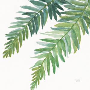 Chris Paschke | W24943 | Ferns I