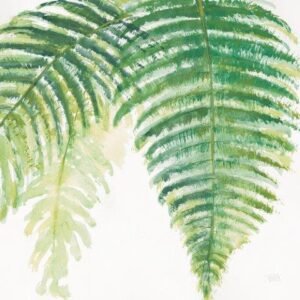 Chris Paschke | W24945 | Ferns III