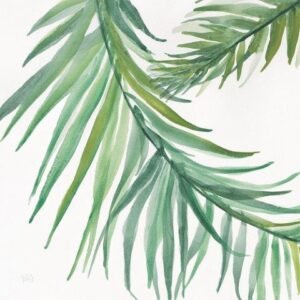 Chris Paschke | W24946 | Ferns IV