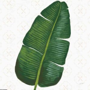 Janelle Penner | W30418 | Welcome to Paradise XV