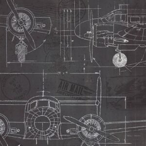 Marco Fabiano | W33825 | Plane Blueprint III