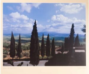 John Singer Sargent | Li0440 | Port of Soller