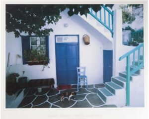 Piet Bekaert | Li0443 | Pérgola