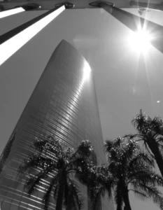 Claudio Sacomano | CS032BW | Puerto Madero Tropical