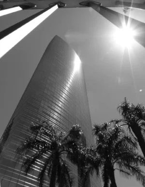 Claudio Sacomano | CS032BW | Puerto Madero Tropical