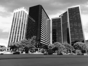 Claudio Sacomano | CS033BW | Catalinas