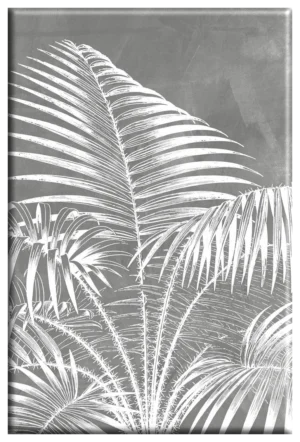 Imagen de diseño / Botánica | MAG008 B5070 | Palm Tree II