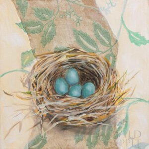 Sue Schlabach | W88560 | Robins Nest
