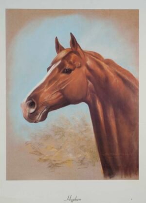 Serie Caballos | LI1021 | Hyphen