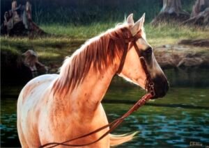 Carola Tadeo | LI1065 | Bonito