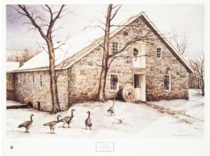 Dan Campanelli | LI1348 | The Daily Beggars