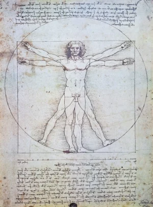 Leonardo da Vinci | Li33480 | Vitruvian Man (circa 1492)