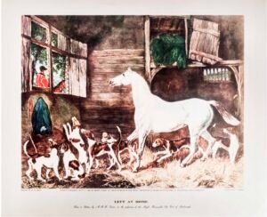 R. B. Davis | LI0508 | Left at home