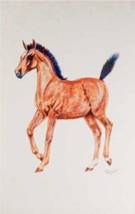 Serie Caballos | LI0510 | Raza Árabe / Arabia Saudita