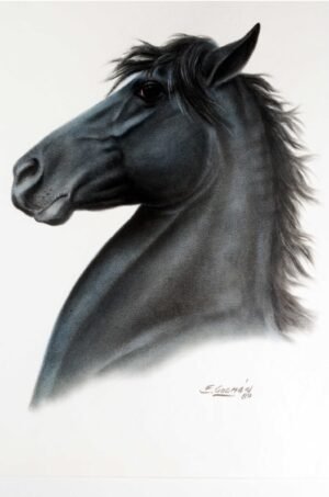 E. Guzman | LI0517 | Negro azabache /Dibujo original